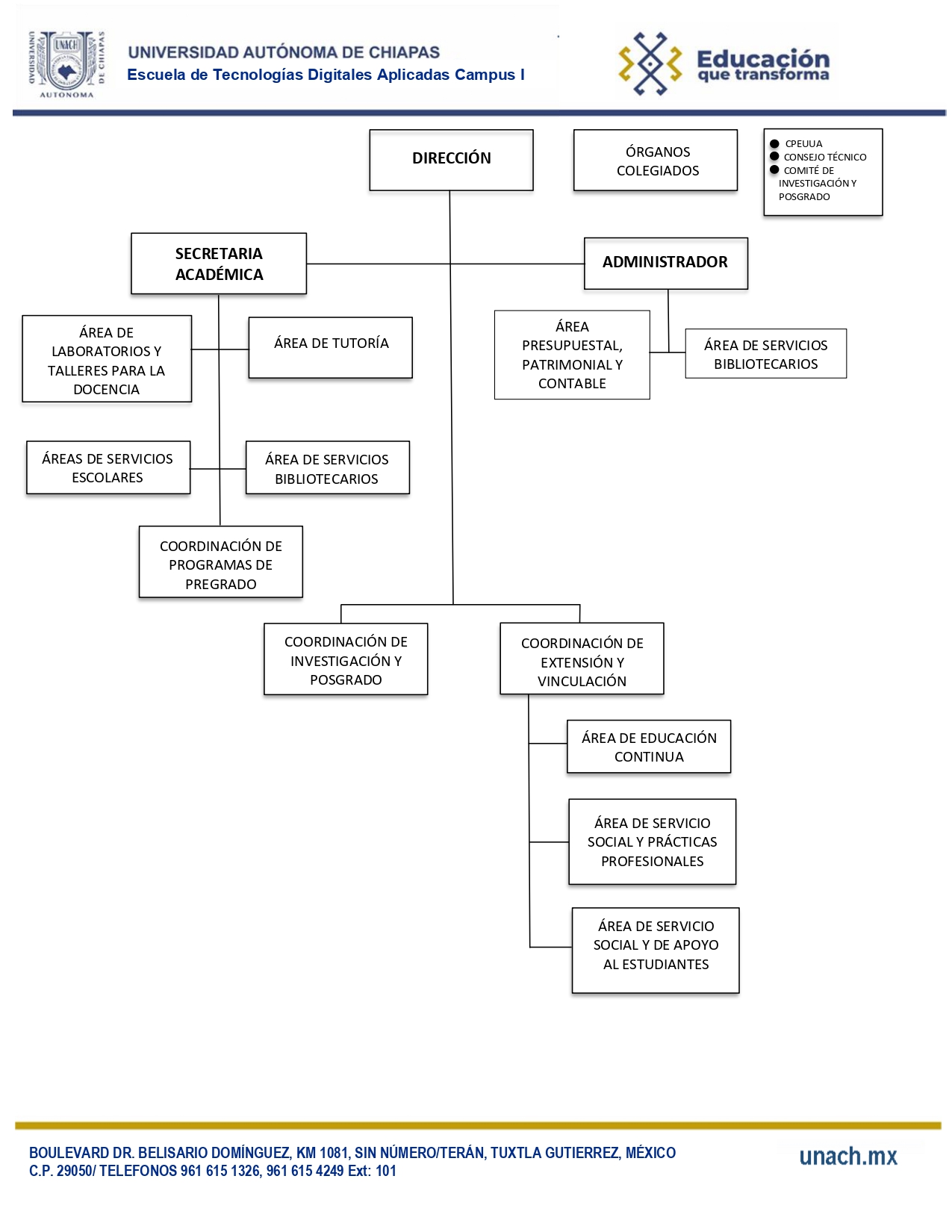 organigrama